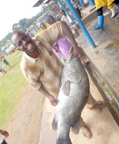Nile pearch is one of Uganda's top selling fish