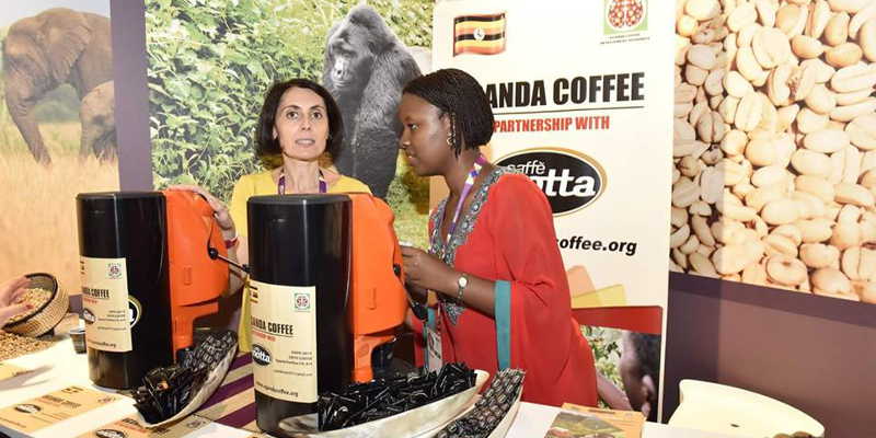 Uganda's tourism potential is hugely under-exploited which partly contributes to the country's large foreign exchange deficit