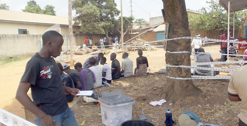 voter-at-LC-elections