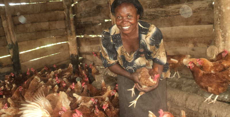 Mrs. Iga Kizzeyo is one of the struggling Ugandan farmers in Mityana district of Uganda. Will her sole efforts enable her to meet the growing demand for food in Uganda