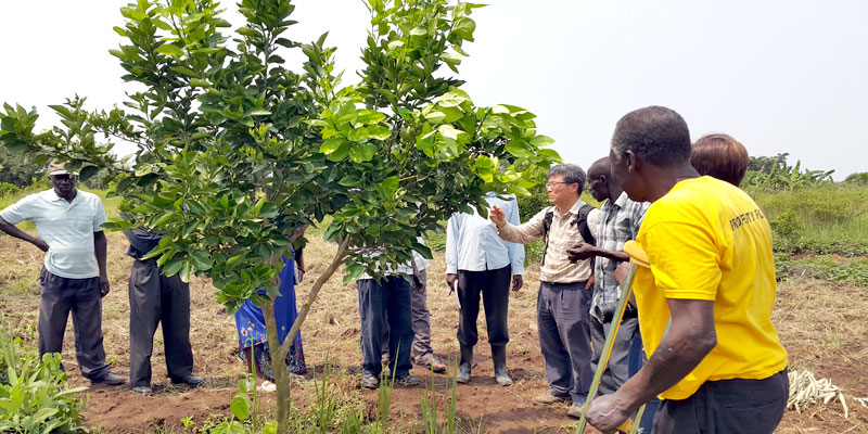 Dr.Hyun Jaewook interacts with Citrus Farmers in Soroti