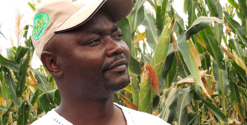 MP Jackson Mbaju