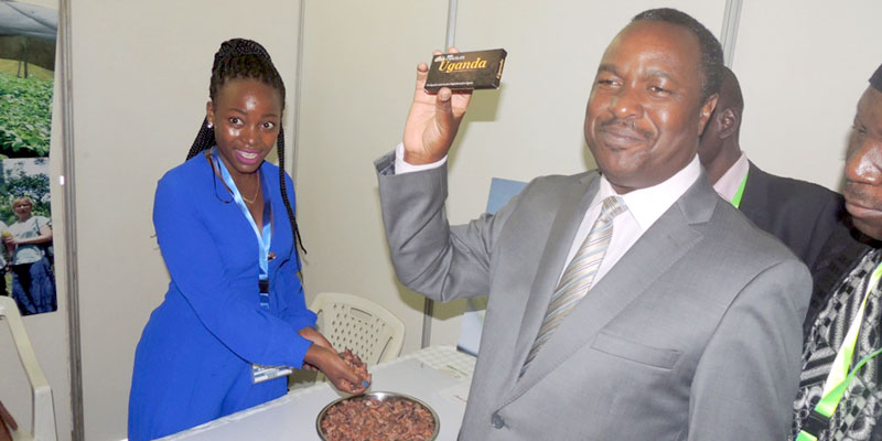 Uganda's 1st chocolate maker weighed down by taxes