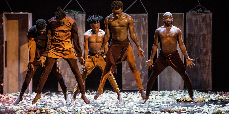 Dance. Hate. Politics and Creativity