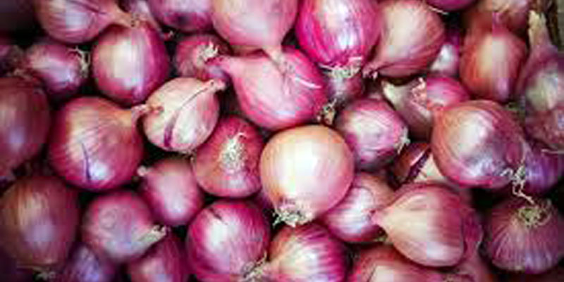 Onion-b
