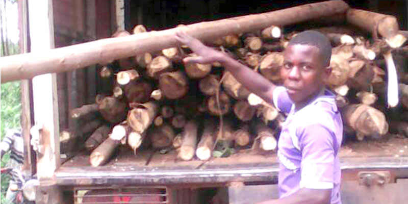 Arrogant loggers block road