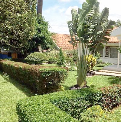 Katamba’s-compound