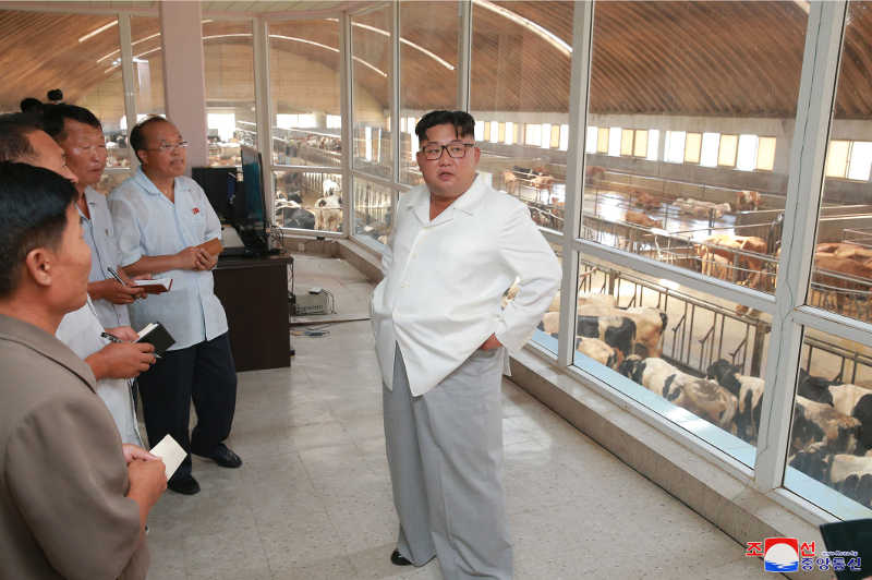 Supreme Leader Kim Jong Un inspects Ungok Area General Stock Farm. August, Juche107 (2018).
