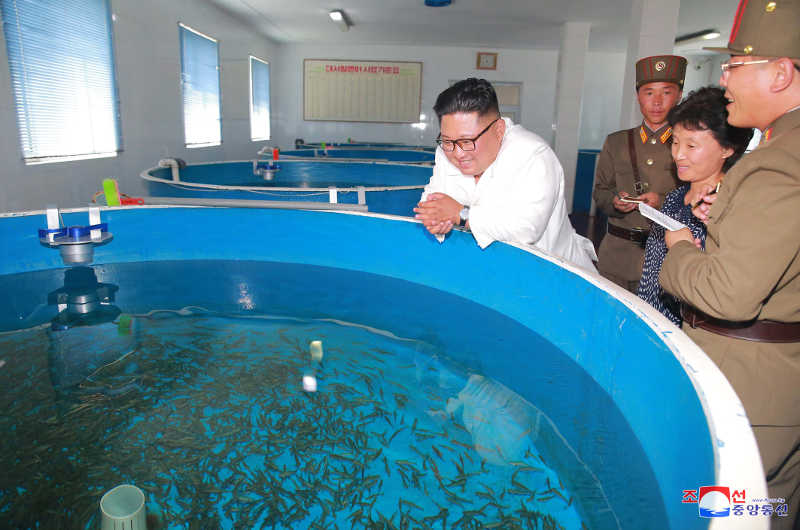 Supreme Leader Kim Jong Un gave field guidance to the Raksan Offshore Salmon Farm and the Sokmak Atlantic Salmon Pedigree Farm run by Unit 810 of the Korean People's Army. July, Juche 107 (2018).