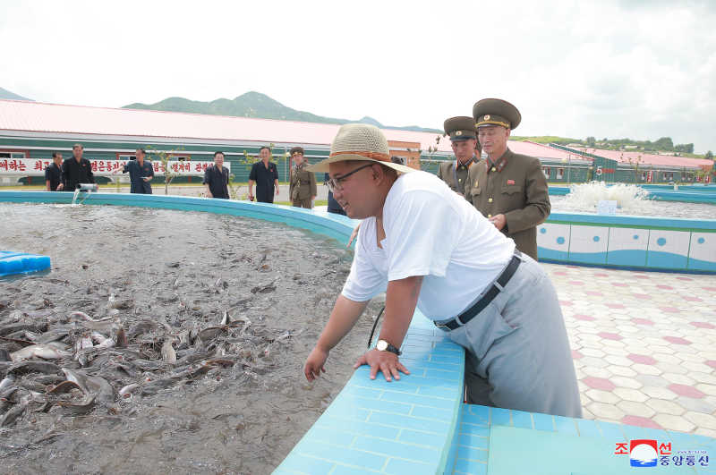 Supreme Leader Kim Jong Un inspects Samchon Catfish Farm. August, Juche107 (2018).