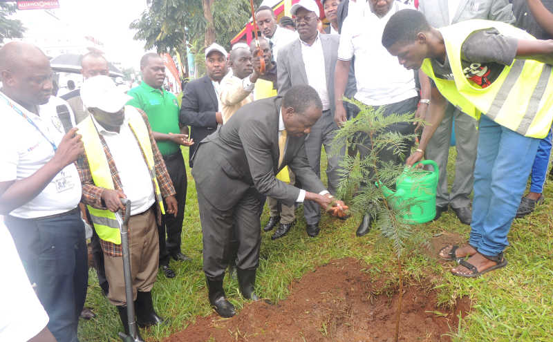 Finance Minister Matia Kasaija while planting a tree along Bombo road in Kampala